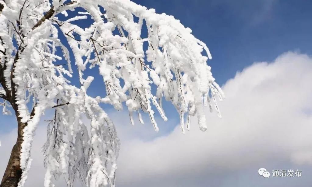 书画|冰雪华家岭！妖娆如诗画