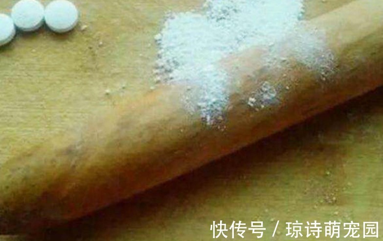 别花钱买生根水给植物泡了,拿这些代替,既有趣又实用