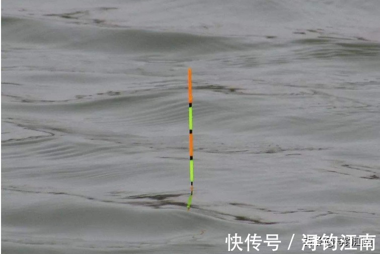 跑铅|户外作钓，遇走水闹小鱼咋办？试试这跑铅钓法，知道的人可不简单