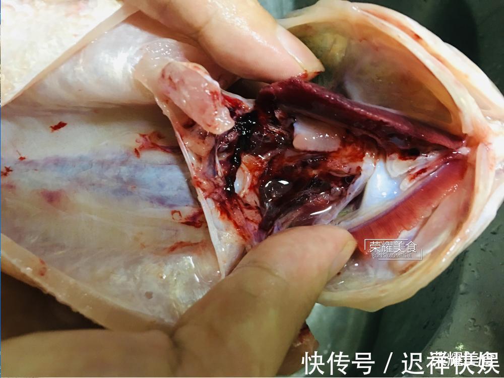 清蒸鲈鱼时,放盐和料酒就错了,教你正确做法,鱼肉鲜嫩没有腥味