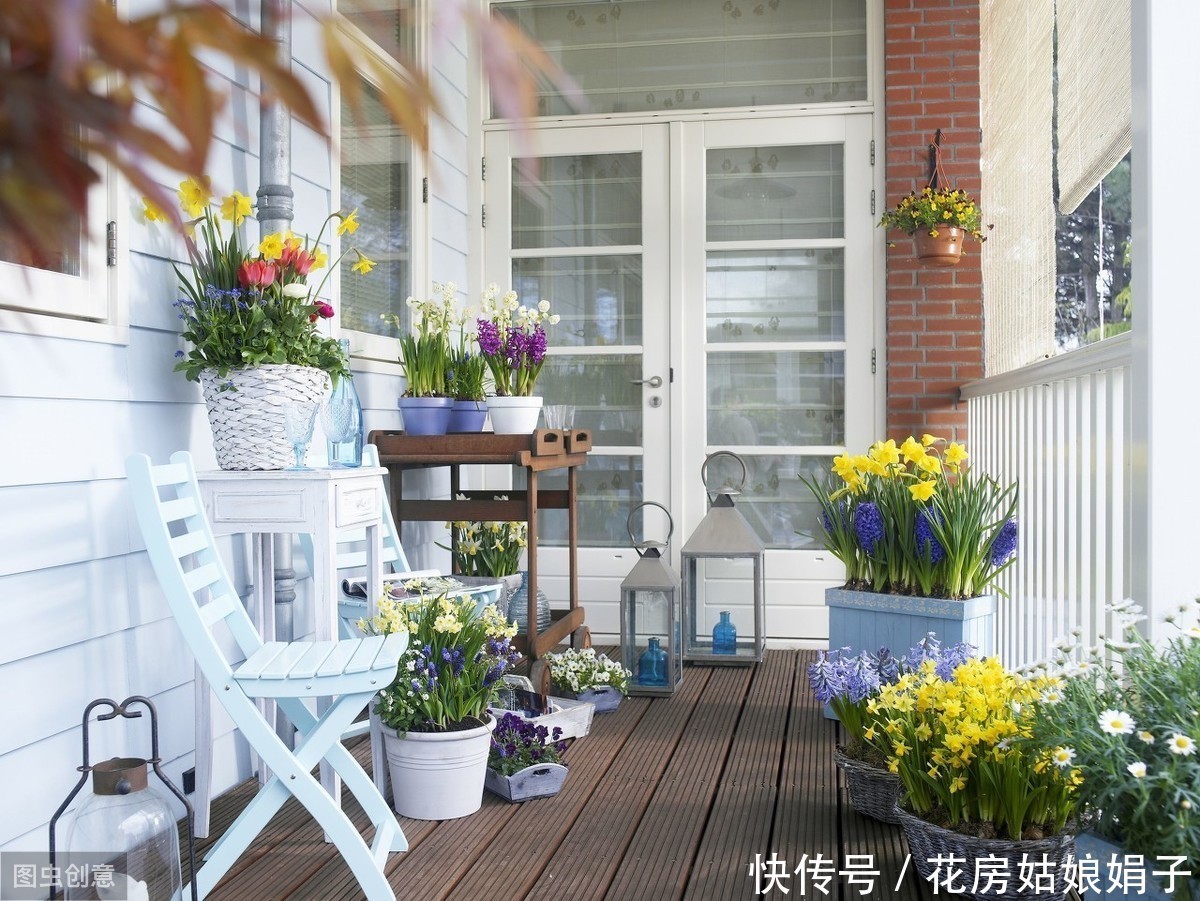 阳台|阳台养殖盆景花卉,7个原则要遵守,才能花开满阳台