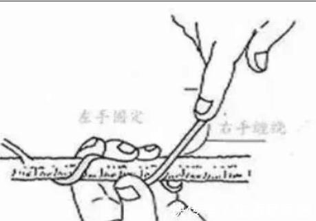 松针|玩盆景不玩松到老一场空,不懂造型,修剪,到老还是空空空