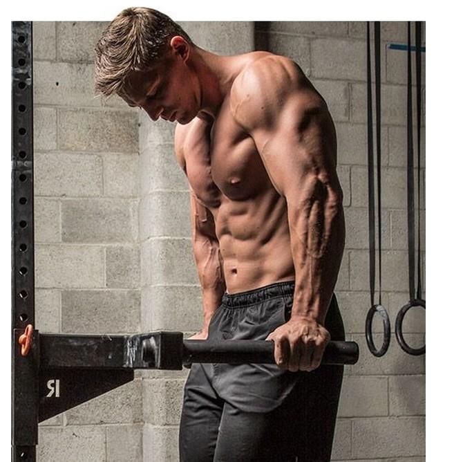 皮质醇|肌肉是怎么生长的这个都没搞明白还谈什么减脂增肌