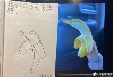 小女孩$可可爱爱！小女孩的日记本太治愈了