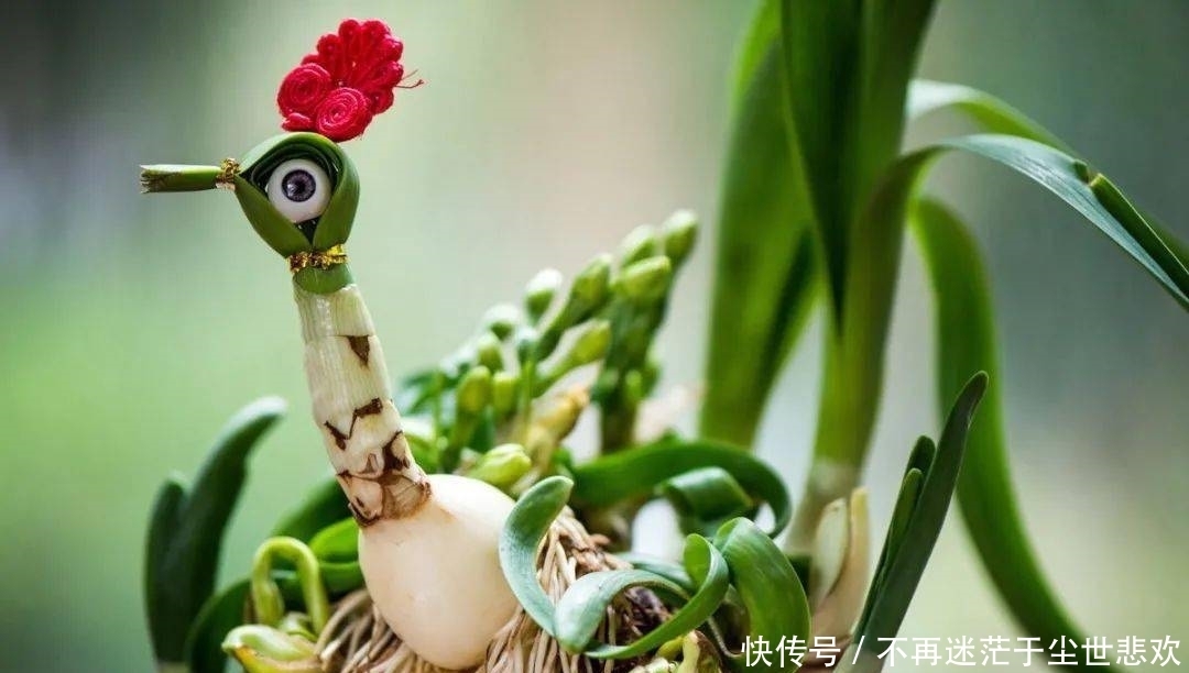 客厅花草别乱养,过年摆上这6种,添喜又添吉