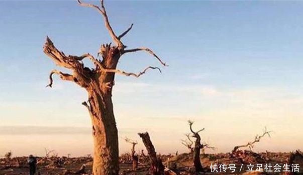  易中天|易中天未都兄你都这份上了，有害怕的事吗猜猜马未都怎么回答