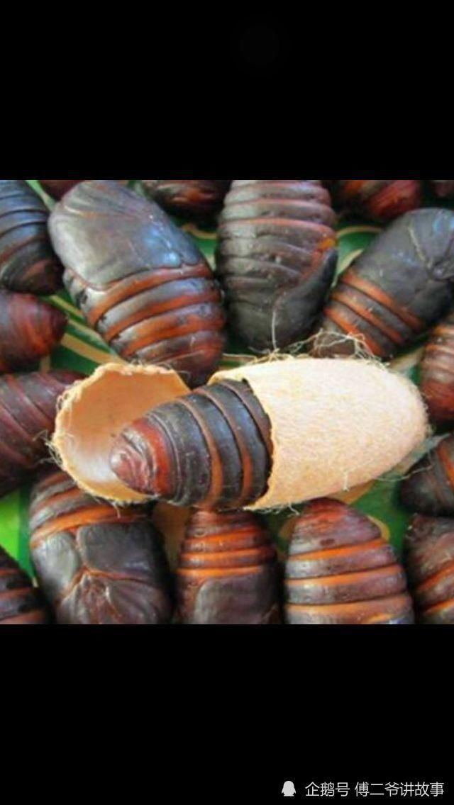 凰城白旗|年底闲下来的老满洲旗人