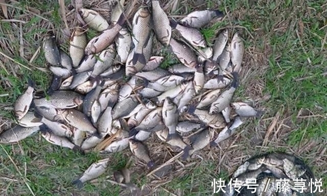 早春钓鱼,这种天气才是“爆护”良机,遇上了一定别错过