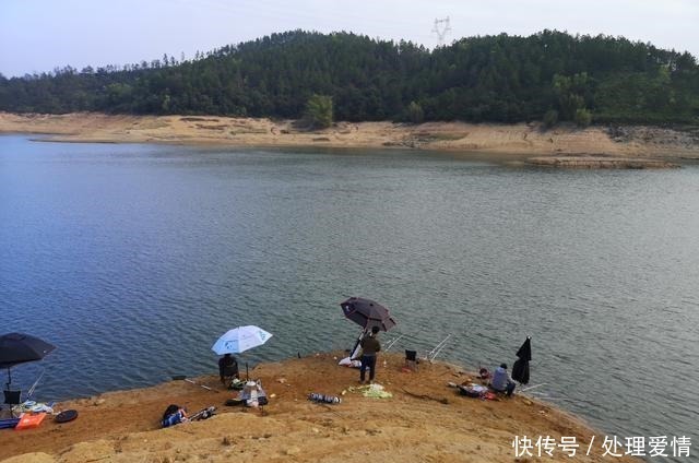 野钓鱼儿活跃水层多变,如何快速定位鱼层两个方法三个原则