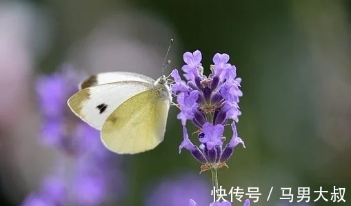 金钱|下周，旧情萦绕，爱意消散，由穷转富，金钱无数，花香飘逸