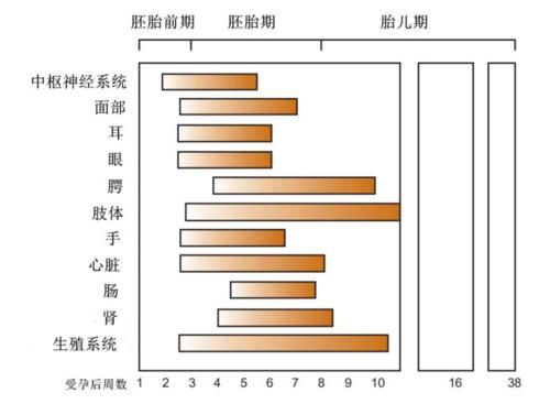 影响宝宝|孕期用药黑名单｜必读