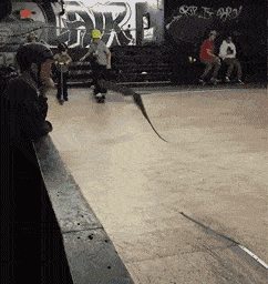 |搞笑GIF趣图你们女生过分了，欺负男生和狗！