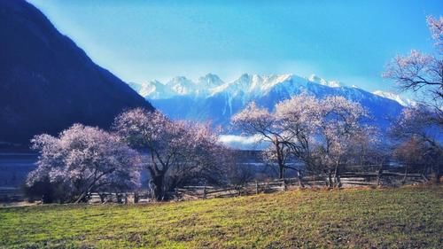 中年|什么是春天？那是桃花漫山的西藏小众美景