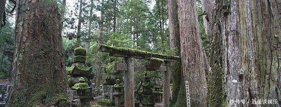 很多国家都热衷考古,可日本为何不愿考古,难道是不能接受历史