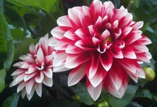 好习惯|“发财”是有原因的,养成以下4个好习惯,不发财都难!