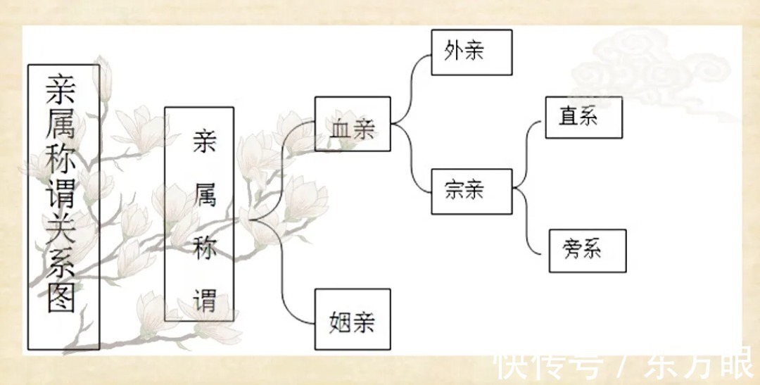 宝玉$为什么姑父是父亲的父?姨夫却是丈夫的夫?过节走亲戚用得上