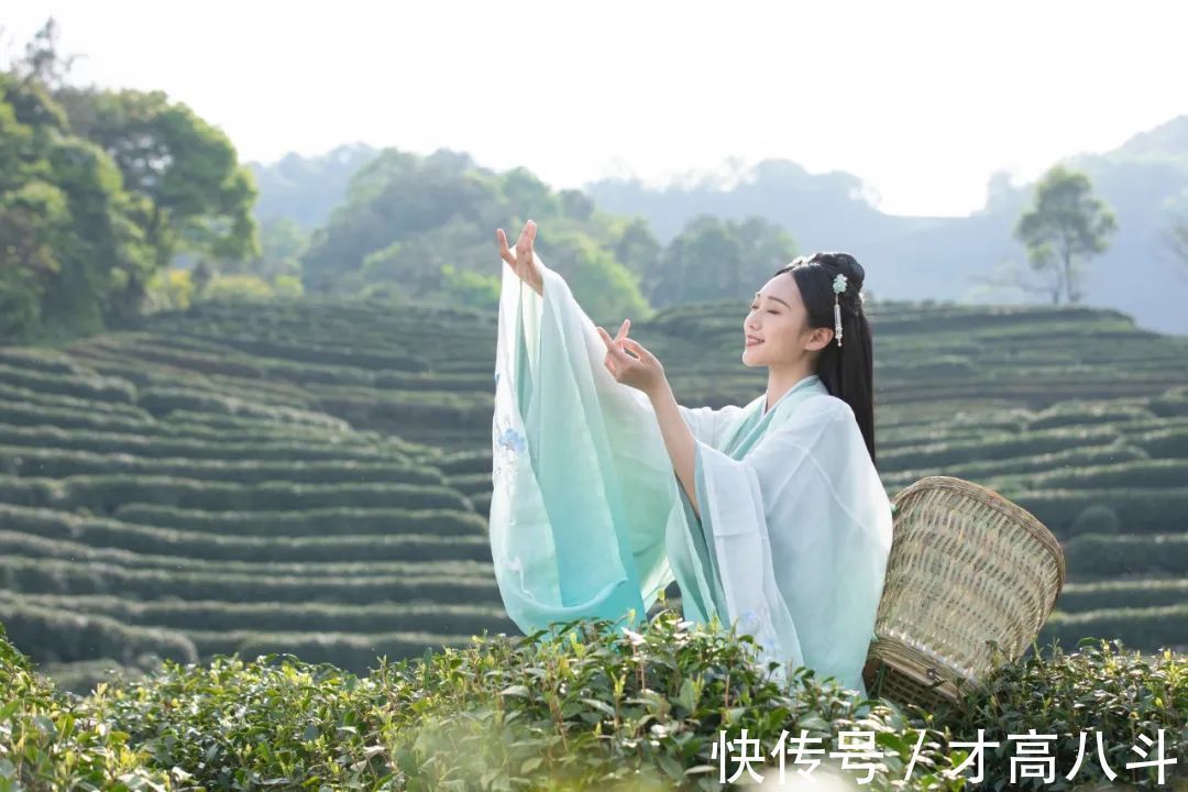 水调歌!念奴娇、雨霖铃、水调歌头:12大经典词牌名是怎么来的?