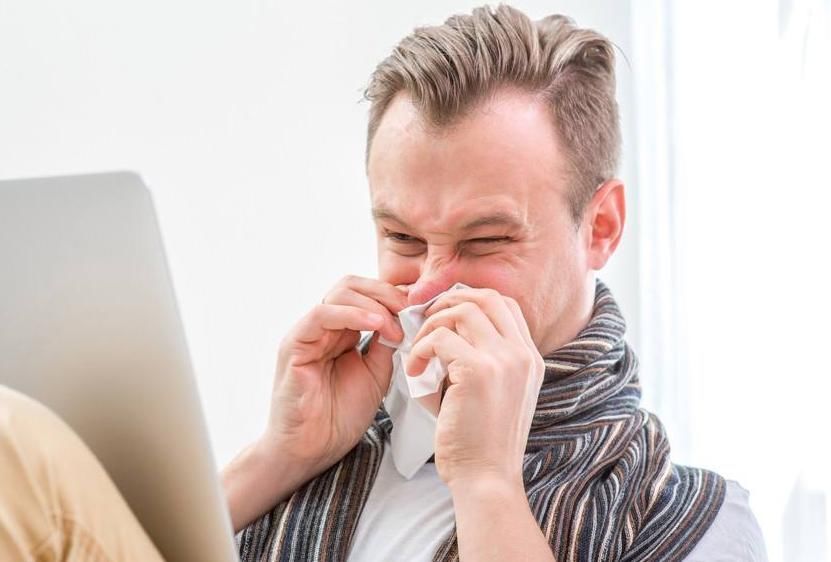 鹅不食草|鼻炎的“对手”终于找到了!坚持闻一闻,鼻炎或许悄悄好转!