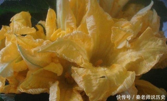 烧出来|可别小看这种藤上开的花,拿回家烧出来的美味,老公对你刮目相看