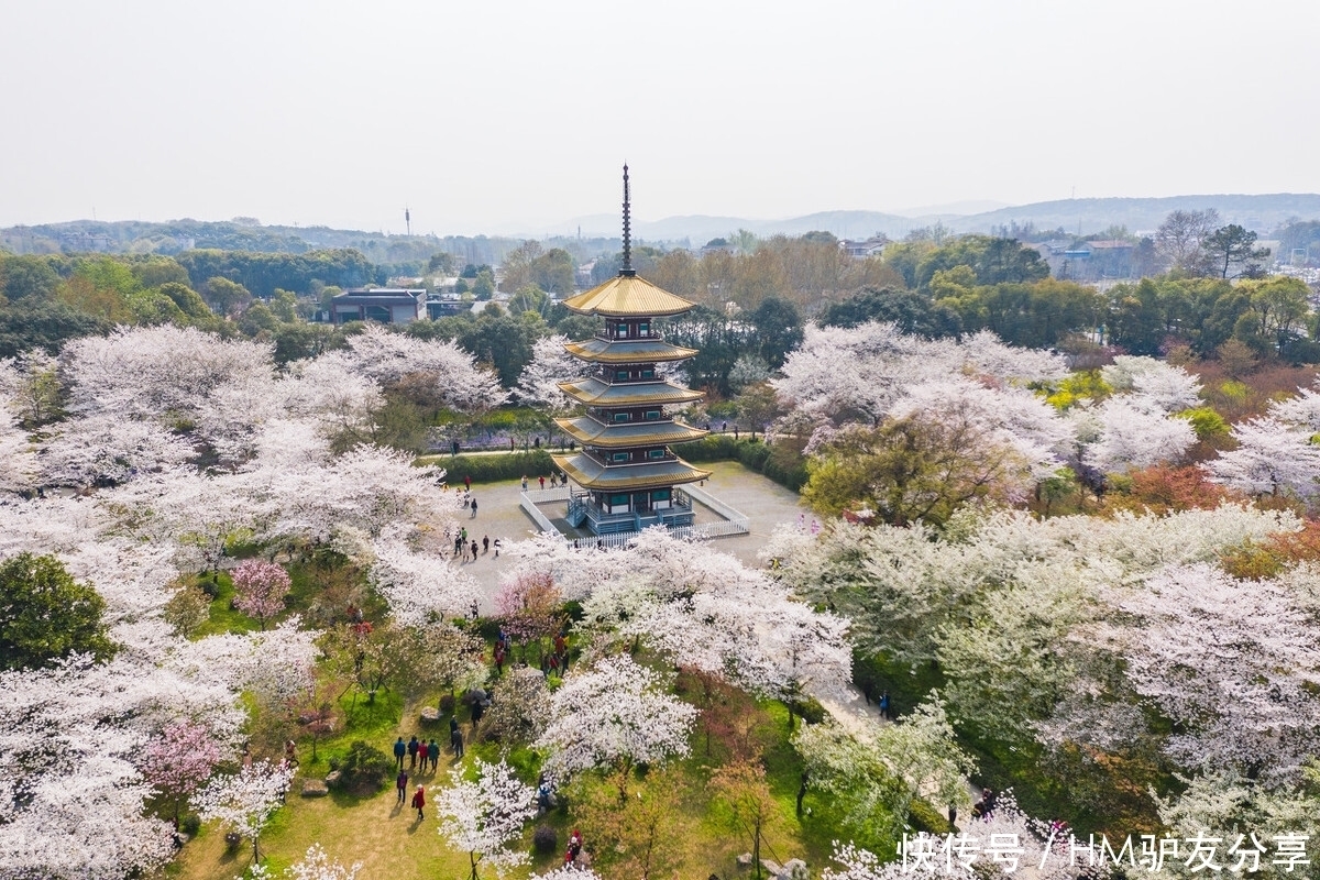 中年|春天最适合小住三五天的12个地方，错过这些美景，又要等一年