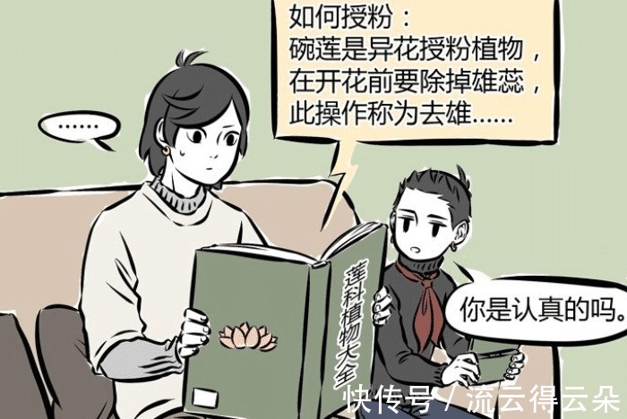 非人哉|非人哉神仙兄弟情，金吒因哪吒买假发，木吒给他“找姑娘”