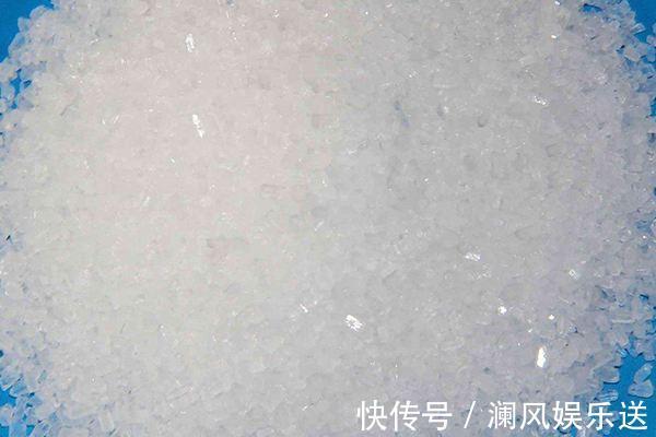 果皮|秋天养君子兰施肥是关键,3种肥料用一用,根旺叶绿,过年就开花