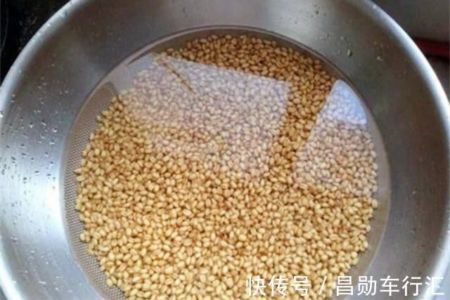 麦香|红糖加麦粒，再加这一步骤，小鱼闹窝也有大鲫鱼开口