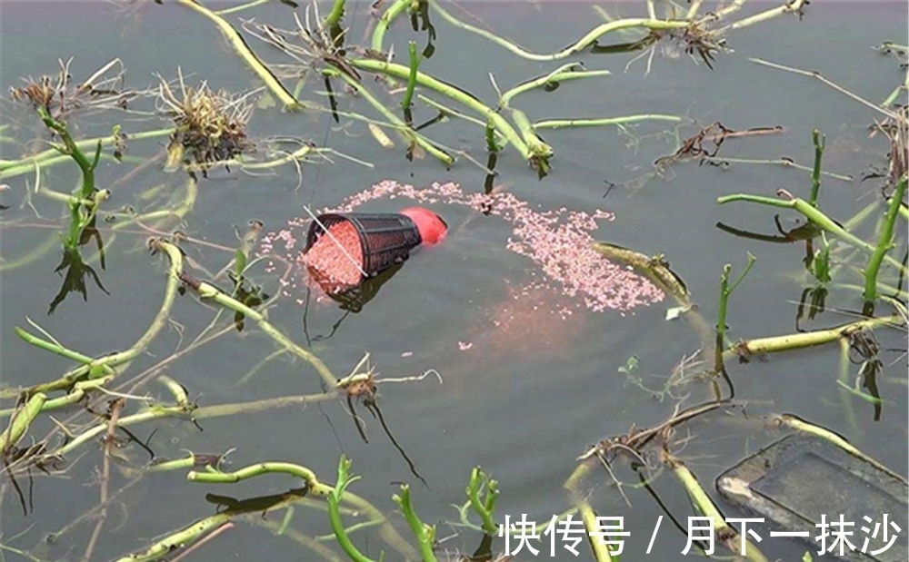 冬季钓鱼，始终不发窝不是天冷，打窝聚鱼遵守5大要点，连竿不断