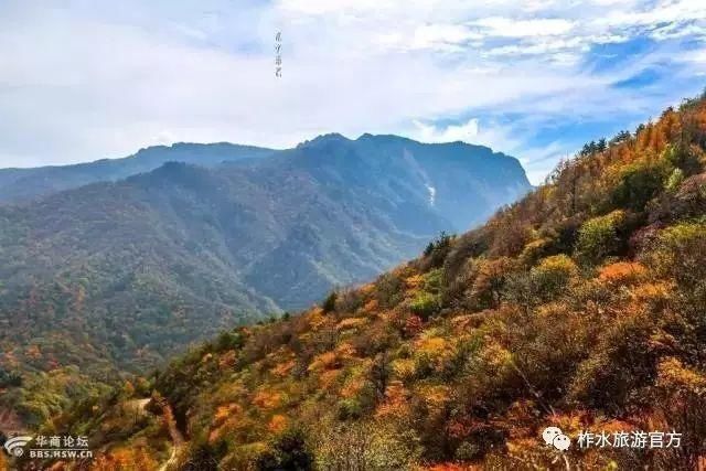 低薪|春花秋月、夏蝉冬雪，与你一起看遍柞水的春夏秋冬