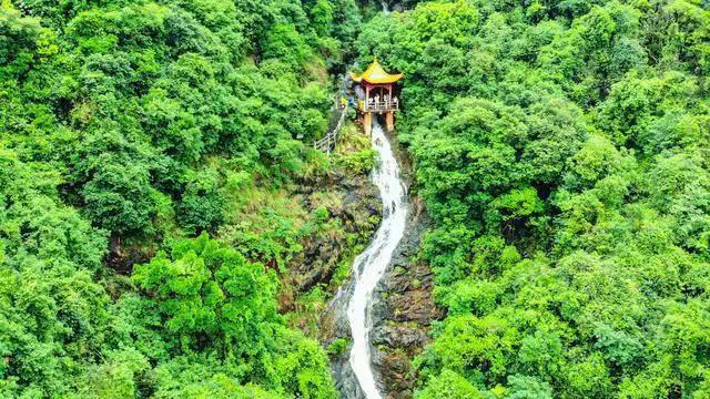 中国医师节|【医路有您 · 山河无恙】今天请脱下白袍，走进东莞观音山，这次换我们来为您服务！