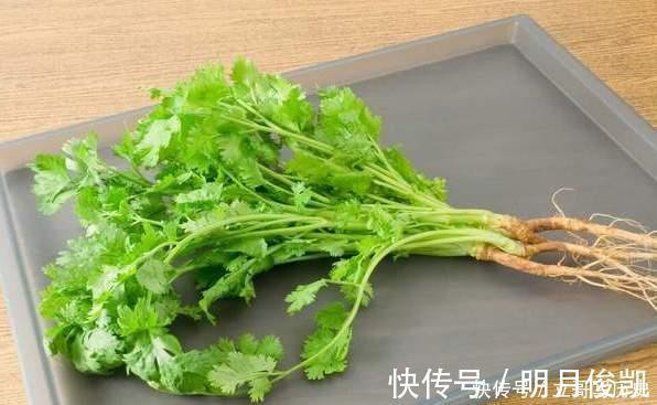 食用油|保存香菜不能直接放冰箱,老农教你一招,放久了不发黄也不烂叶