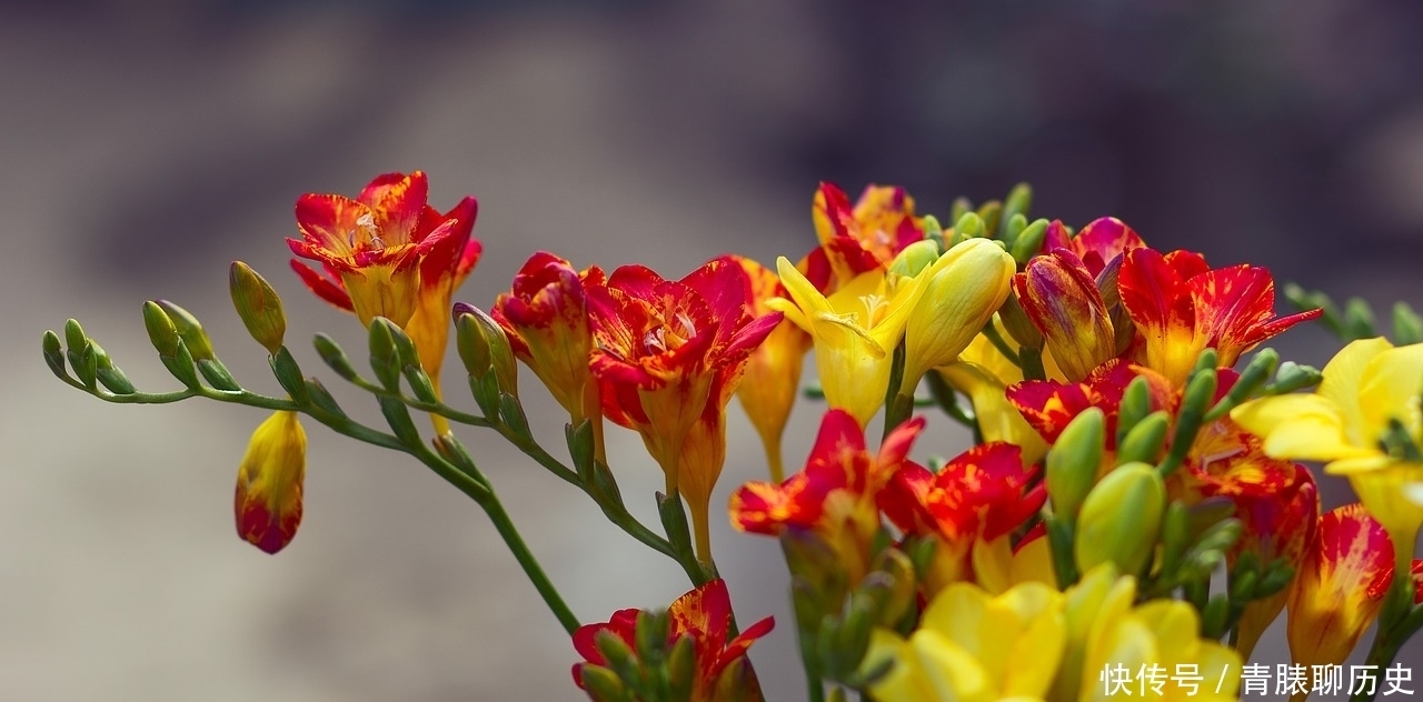 属蛇人21年 生肖蛇有3大喜来临 你还不快快来接喜 全网搜