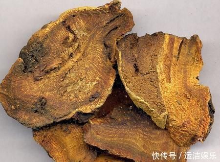 大黄农村遍地都是,不是人参胜似“人参”,竟然还能拿去卖钱呢