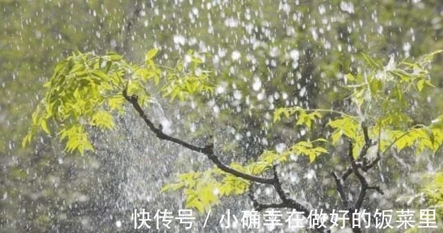 听雨词!蒋捷的这首听雨词,可谓是惊艳了时光,情景交融,无人能出其右!