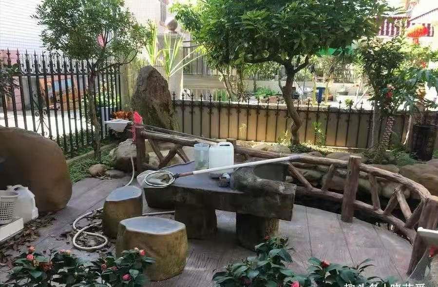 佛手|院子里适合种7种“镇宅树”,随便种一棵,“旺财添福”更旺家