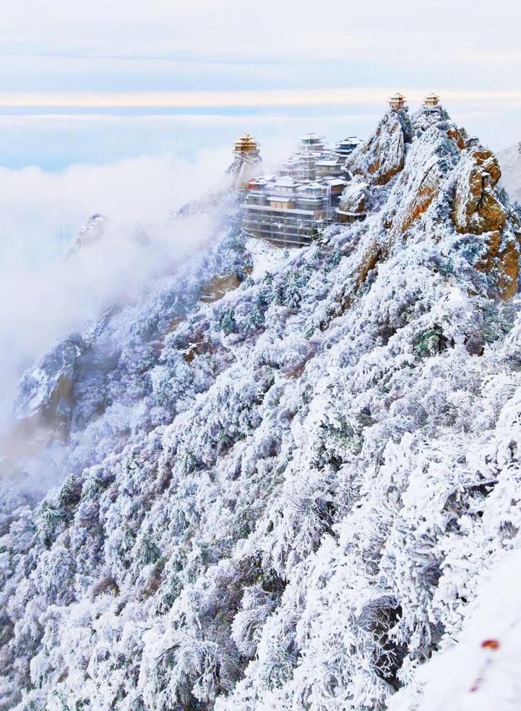 误入|点赞破百万的世界级雪景！雾凇云海，仿佛“误入天宫”！