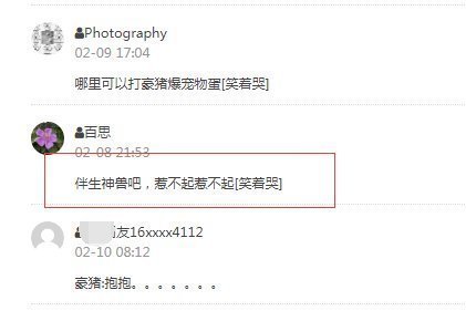 小男孩|小孩子被欺负后,召唤“神兽”去报仇,网友:惹不起呀!