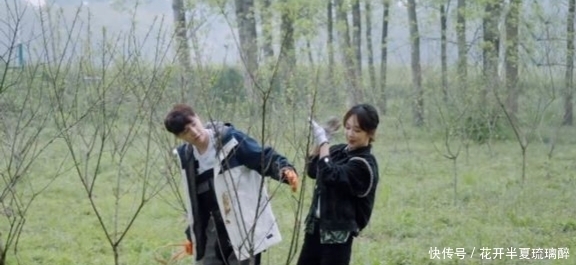 杨紫 明明张艺兴和杨紫极力辟谣恋情,为什么粉丝还越磕越上头呢?