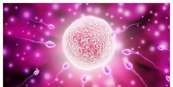 夫妻俩|女人过了这个年龄最好不要生孩子,大人和孩子都跟着受罪