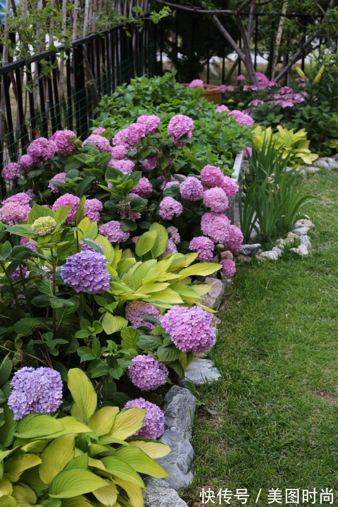 阳台上|为建花园,不顾反对买了一楼带院子,3年的亲手布置朋友都羡慕了