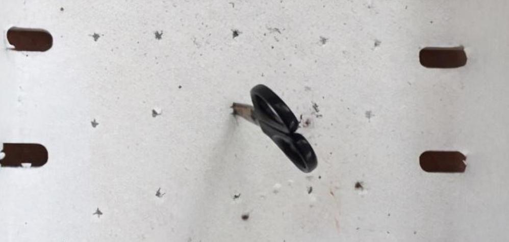 养多肉，用泡沫箱扦插育苗、做拼盘，该注意什么？