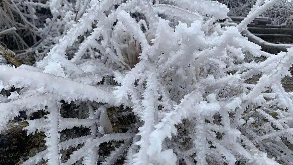 下雪天，凯里小高山的风景好美哦！