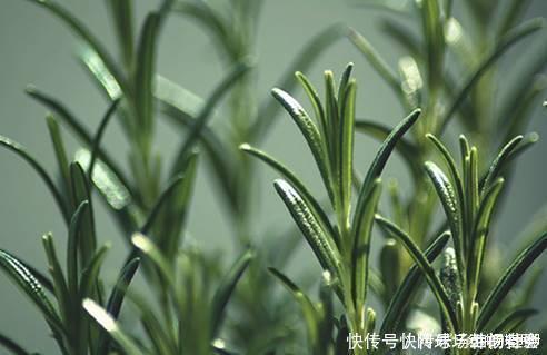 口红|买家秀与卖家秀“区别太大”,不是因为你没模特的五官,而是皮肤