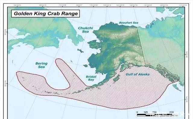 揭秘|揭秘俄罗斯帝王蟹:市场、新格局,鲜美食材背后有看不到的博弈