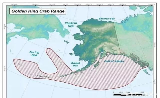 揭秘|揭秘俄罗斯帝王蟹：市场、新格局，鲜美食材背后有看不到的博弈