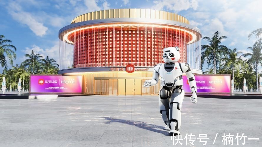 学习能力|会说相声会打太极,中国的“功夫熊猫”有多牛?老外都不可思议