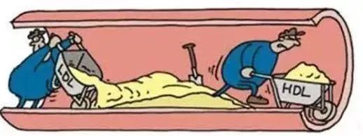 关注隐形的健康“杀手”——血脂异常|科普 | 冠心病