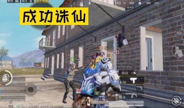 游戏|和平精英玩家进入前5名时居然退出游戏,其中原因只有大神知道