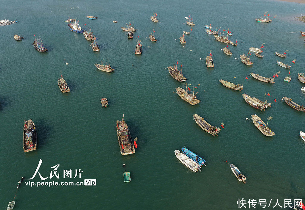 江苏连云港:早春二月备春捕