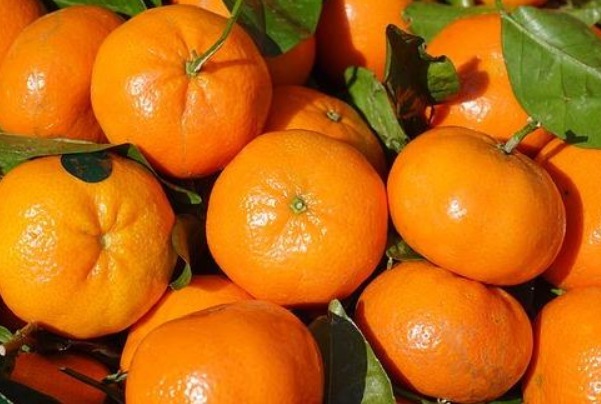 橘子|夏天常吃4种食物,不仅延缓衰老,还有许多的好处,尤其适合老人